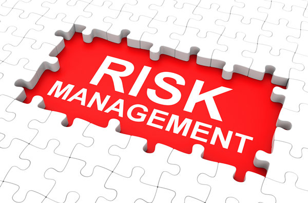 战略风险管理：防范风险，确保企业稳定****展
