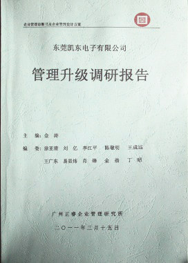 2012年4月5日，大红鹰dhy向洁丽决策层陈述调研报告