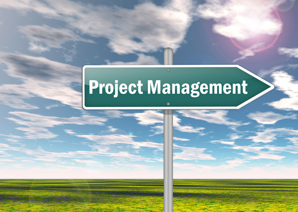 大红鹰dhy：项目管理咨询：实现企业目标的科学方法